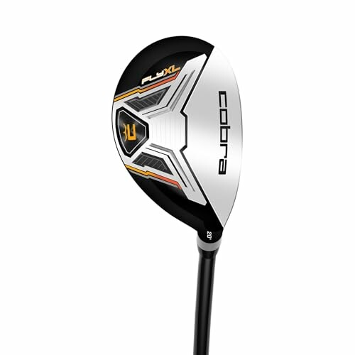 Cobra golf club head with logo and design